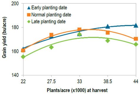 Corn grain yield in 2014 and 2015 at Crookston, MN as affected by planting date and plant population.