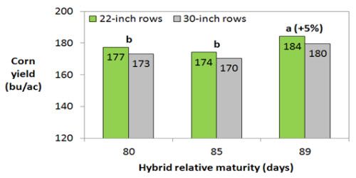 Yield response to row spacing