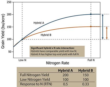 Response of two hypothetical corn hybrids which both hybrids have similar yields under low N