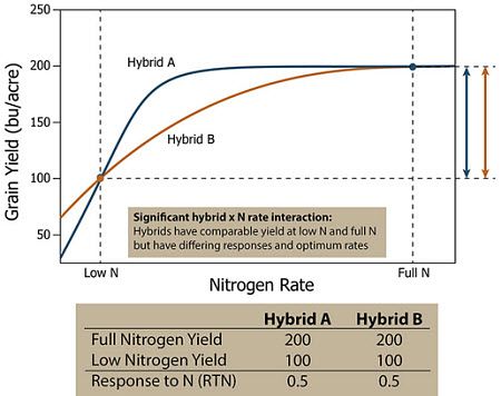 Response of two hypothetical corn hybrids which have similar yields at low N and full N but have differing responses and optimum N rates.