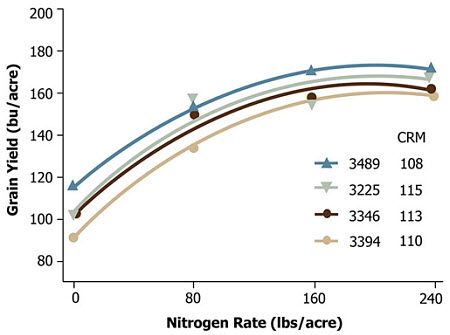 Average grain yield response of four Pioneer brand hybrids to N application rate across six environments (1993-1994)