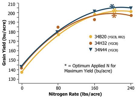Average grain yield response of three Pioneer brand hybrids to N application rate across eight environments (2004).