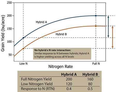 Response of two hypothetical corn hybrids across a range of N application rates showing no hybrid by N rate interaction.