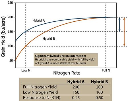 Response of two hypothetical corn hybrids showing a significant hybrid x N rate interaction