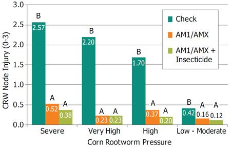 Corn rootworm injury (CRW) scores with AM1/AMX products under different degrees of CRW pressure.