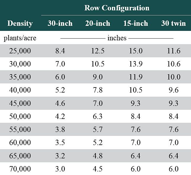 Table showing minimum distance between adjacent corn plants in 30-inch, 20-inch, 15-inch, and 30-inch twin row configurations over a range of plant densities.