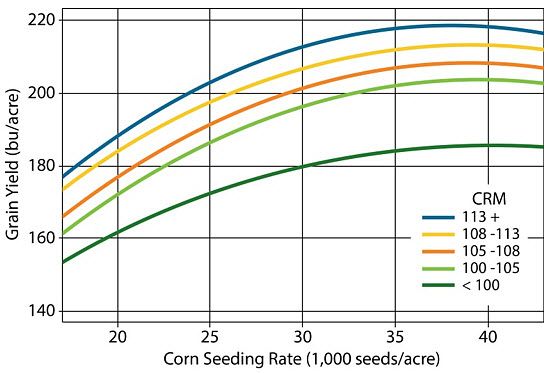 Chart showing yield response to plant population for corn hybrids from five maturity ranges.