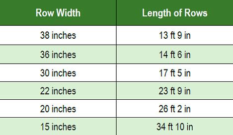 Estimating corn plants per acre