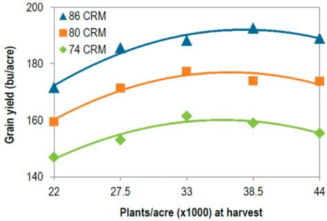 MN as affected by plant population for 3 hybrids of differing comparative relative maturity (CRM.)