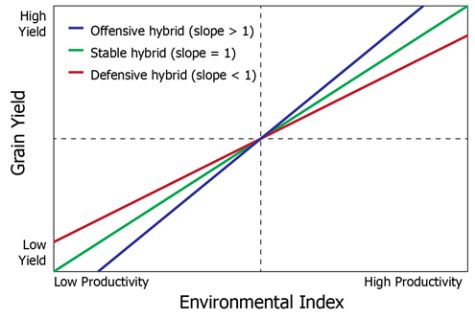 Corn hybrid yield stability model showing example linear regressions for offensive, stable, and defensive hybrids.
