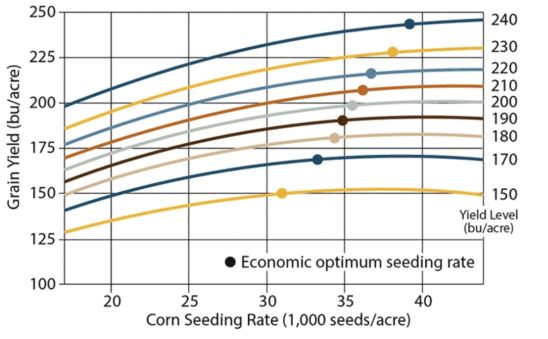 Corn yield response to population and optimum economic seeding rate.