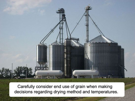 Carefully consider end use of grain when making decisions regarding drying method and temperatures.