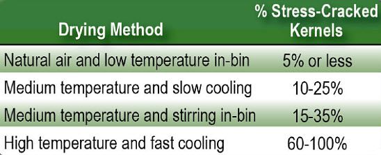 Effect of dryer method on stress crack formation.