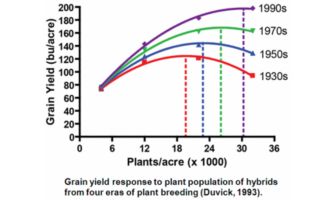Plant yield response to plant population of hybrids from four eras of plant breeding