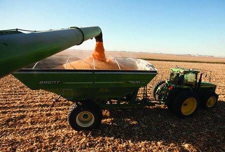 Corn yields have increased at a faster rate than most other crops.
