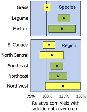 Corn yield response to winter cover crop based on cover crop species and region.