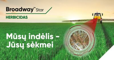 Broadway™ Star header