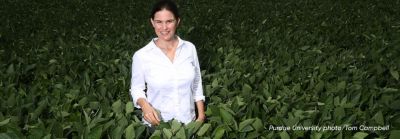 woman standing in field