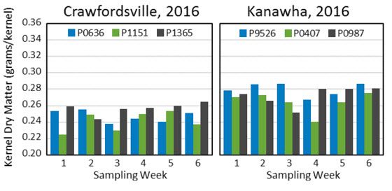 Chart showing corn kernel dry matter weights over the post physiological maturity dry down period (Sept. and Oct.) for 2 planting dates and 2 Iowa locations in 2016.