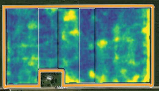 Vegetation Index image showing ammonium sulfate treatment blocks and associated improvement of plant health in July 2018. 