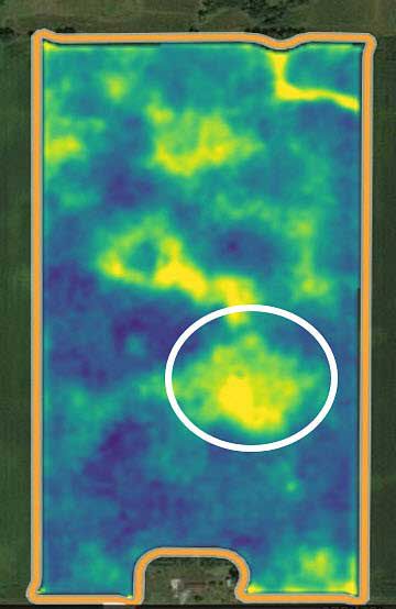 Vegetation Index image from early July 2017.