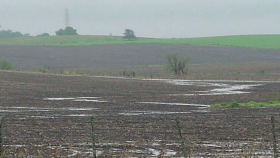 Wet field photo