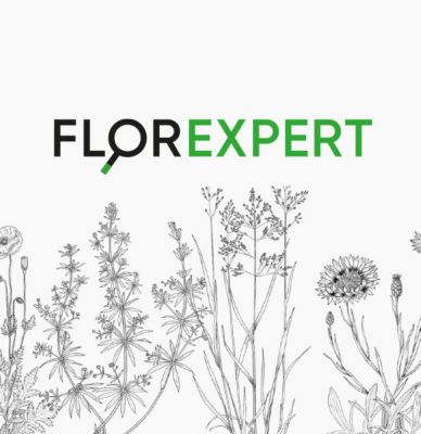 Plateforme désherbage feature Florexpert