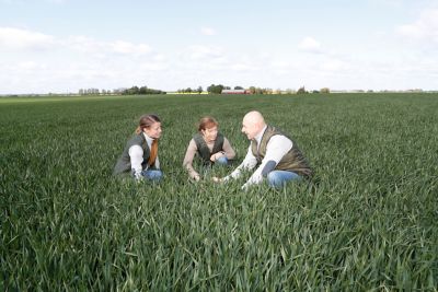 detsvensketeamkarussel