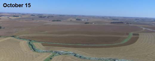 Photo - improved corn plant health in the treated strip is still visible in a drone image taken in mid-October.