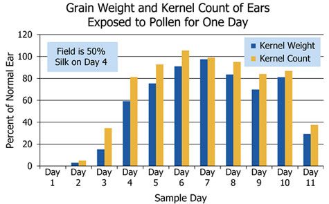 Ear weight and kernel count of ears exposed to pollen for 1 day.