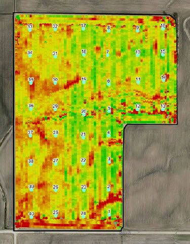 Yield and grid soil sample data for a field enrolled in the Encirca Fertility service.