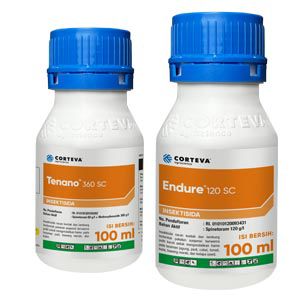 Endure™ 120 SC & Tenano™ 360 SC  (Bawang)