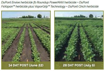 Soybean field treasted with DuPont Envive herbicide fb Roundup PowerMAX herbicide + DuPont FeXapan� herbicide plus VaporGrip� Technology + DuPont Cinch herbicide