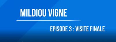 Zorvec Maguelone episode 3