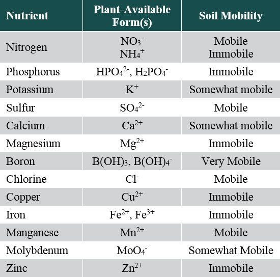 This is a table listing essential nutrients for plant growth, forms available for plant uptake, and relative mobility in soil water.