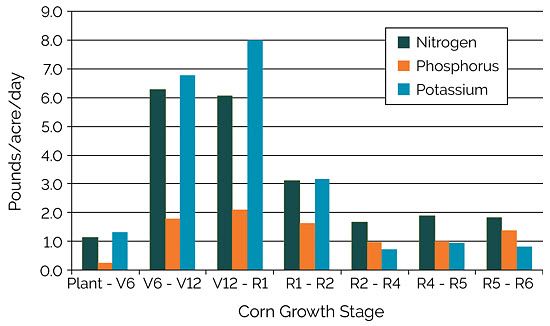 Chart showing estimated uptake of nitrogen, phosphorus, and potassium from the soil required to support a grain yield of 300 bu/acre.
