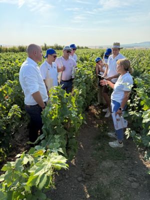 champ plateformes Corteva 2026