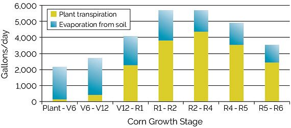Chart showing evapotranspiration of water in gallons/acre to support corn growth in Iowa during different stages of corn growth.