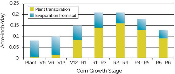 Chart showing evapotranspiration of water (acre-inch basis) to support corn growth in Iowa during different growth stages.