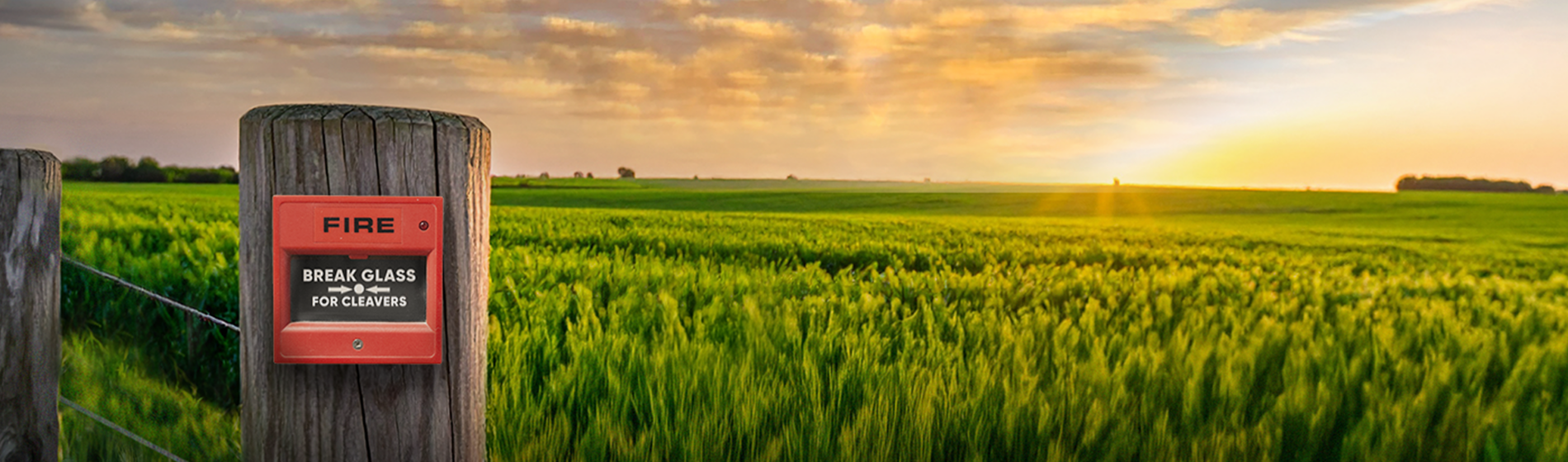 brand creative for extinguish