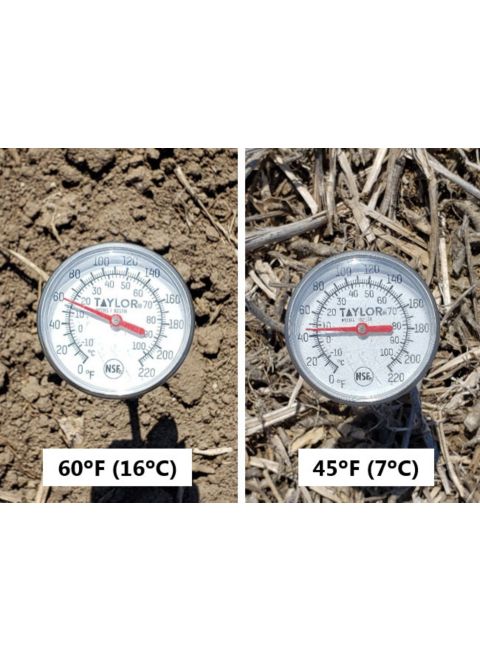 Photo showing temperature difference between soil under no residue and soil under heavy residue, midday, mid-April 2019.