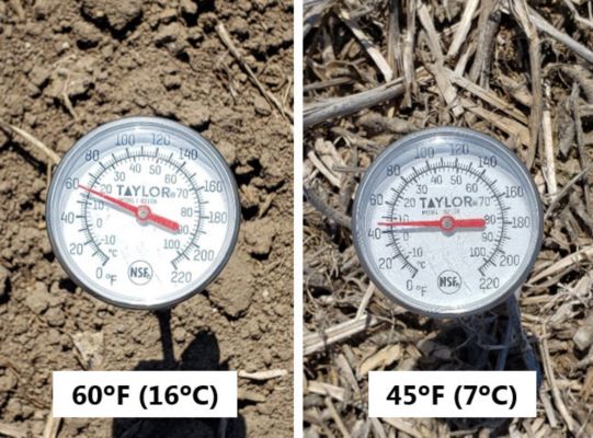 Photo showing temperature difference between soil under no residue and soil under heavy residue, midday, mid-April 2019.