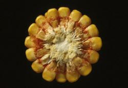 Stage R6 - Black Layer