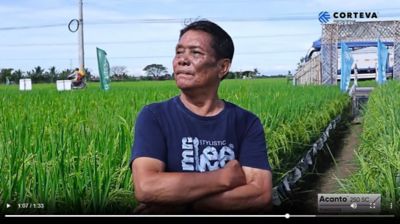 farmer touching the rice field