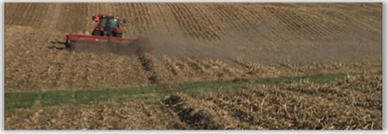 field_shot_cultivation