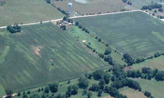 Aerial photo showing nitrogen-deficient field areas. Source: University of Missouri.