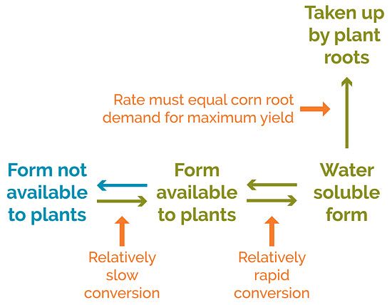 This is a chart showing different forms of plant nutrients in soil.