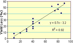 Yield loss for corn when frost damage occurs at the 7 to 10 leaf collar stage of maturity (Carter, 1995).