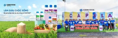 Giới thiệu Corteva: Corteva là gì? Corteva của nước nào