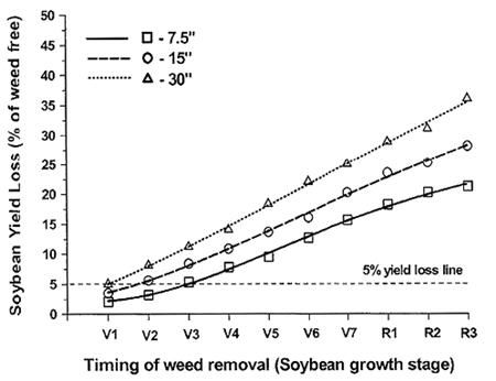 Influence of weed removal timing and row spacing on soybean yield loss.